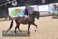 23R13_03957 thumbnail