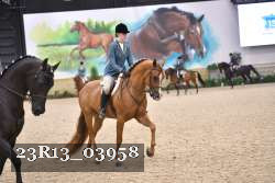 23R13_03958 thumbnail
