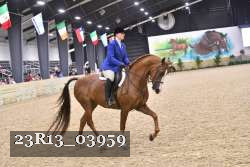 23R13_03959 thumbnail