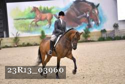 23R13_03960 thumbnail