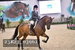 23R13_03961 thumbnail
