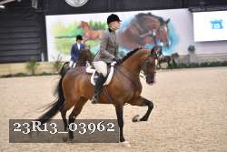 23R13_03962 thumbnail