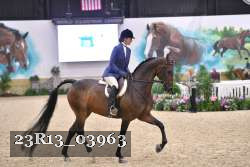 23R13_03963 thumbnail