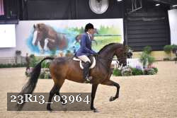 23R13_03964 thumbnail
