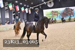 23R13_03965 thumbnail