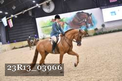 23R13_03966 thumbnail