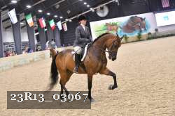 23R13_03967 thumbnail