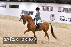 23R13_03968 thumbnail