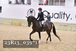 23R13_03971 thumbnail