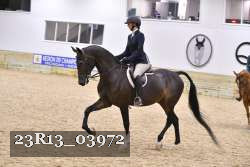 23R13_03972 thumbnail