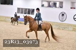 23R13_03973 thumbnail