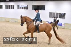 23R13_03974 thumbnail