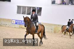 23R13_03975 thumbnail