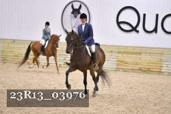 23R13_03976 thumbnail