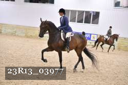 23R13_03977 thumbnail