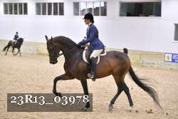 23R13_03978 thumbnail
