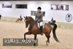 23R13_03979 thumbnail