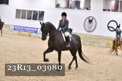 23R13_03980 thumbnail