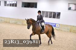 23R13_03981 thumbnail