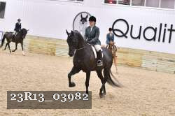 23R13_03982 thumbnail