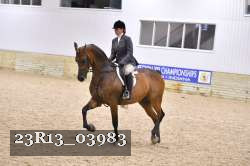 23R13_03983 thumbnail