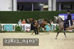 23R13_04027 thumbnail