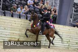 23R13_04047 thumbnail
