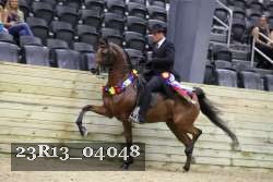 23R13_04048 thumbnail