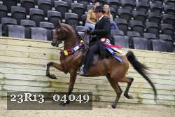 23R13_04049 thumbnail