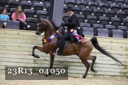 23R13_04050 thumbnail