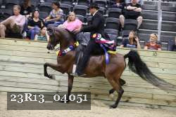 23R13_04051 thumbnail