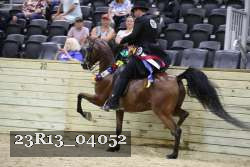 23R13_04052 thumbnail
