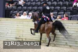 23R13_04053 thumbnail