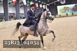 23R13_04054 thumbnail