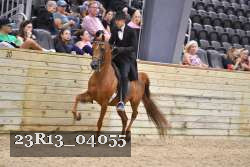 23R13_04055 thumbnail