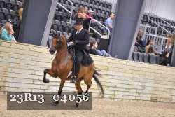 23R13_04056 thumbnail