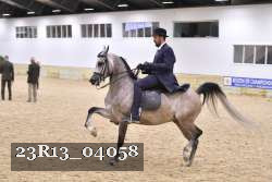 23R13_04058 thumbnail