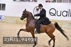 23R13_04059 thumbnail