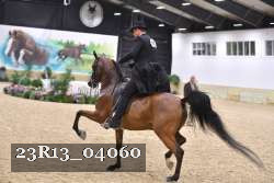 23R13_04060 thumbnail
