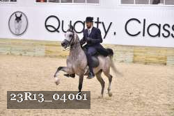 23R13_04061 thumbnail