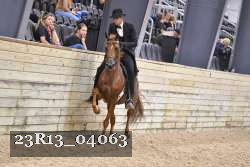 23R13_04063 thumbnail