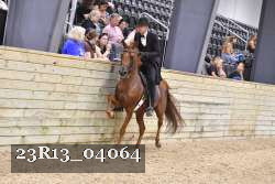 23R13_04064 thumbnail