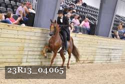 23R13_04065 thumbnail