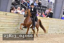 23R13_04066 thumbnail