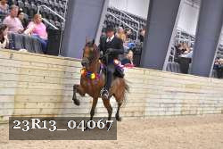 23R13_04067 thumbnail