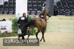 23R13_04098 thumbnail