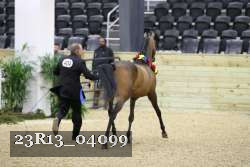 23R13_04099 thumbnail