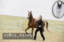 23R13_04129 thumbnail
