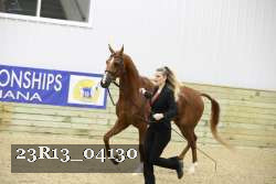 23R13_04130 thumbnail