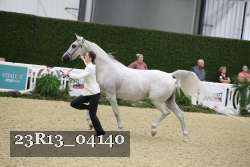 23R13_04140 thumbnail